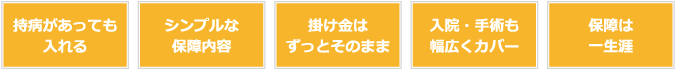 持病があっても入れる/シンプルな保障内容/掛け金はずっとそのまま/入院・手術も幅広くカバー/保障は一生涯